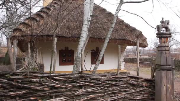 Ukrainian hut with thatched roof — Stock Video