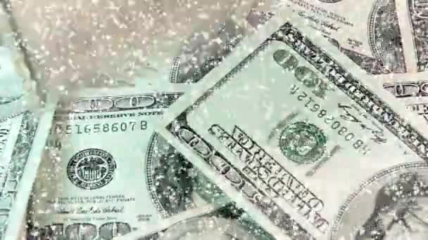 Honderd dollar. — Stockvideo