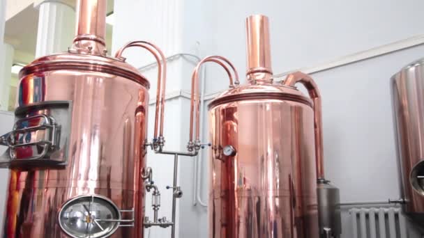 Tunes de cobre para la elaboración de cerveza en una cervecería — Vídeos de Stock