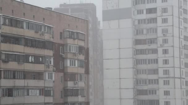 Snowfall in city — Stock Video
