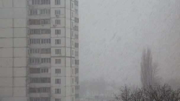 Schneefall in der Stadt — Stockvideo