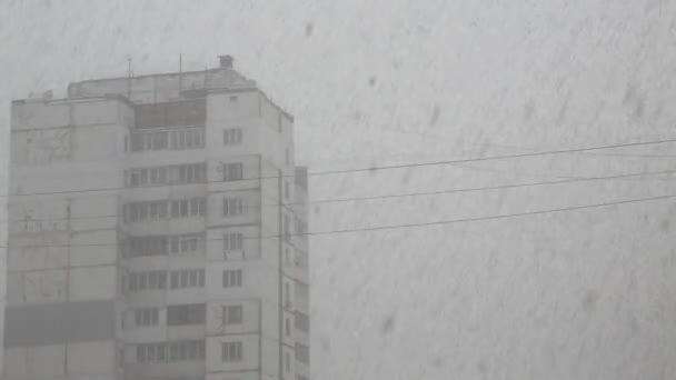 Schneefall in der Stadt — Stockvideo