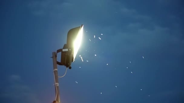 Lanterna e insetos — Vídeo de Stock