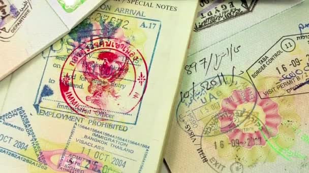Pasaportes internacionales con visados — Vídeo de stock