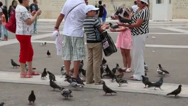 People and pigeons near Parliament and Syntagma Square in Athens, Greece — Stock Video