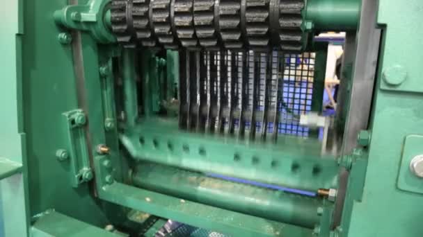 Kereste fabrikası ekipmanları — Stok video