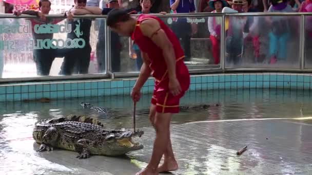 Extrémní krokodýlí show v pattaya, Thajsko — Stock video