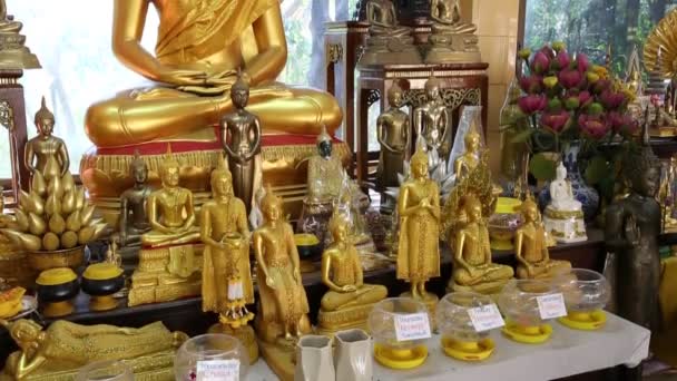Arany buddha-szobrok, buddhista templom belsejében — Stock videók