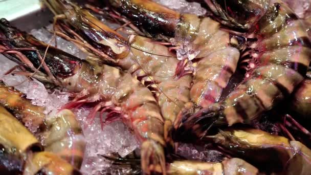 Lobsters and marine products lie on ice — Stock Video