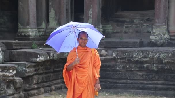 Buddhist monk — Stock Video