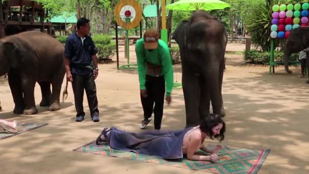 Люди на выставке слонов в Таиланде — стоковое видео