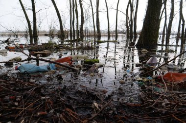 Plastik şişeler ve diğer çöpler gölün kıyısında, çevrenin kirliliği