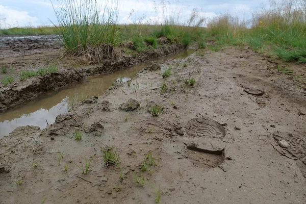 Відбитки Взуття Калюжі Брудній Дорозі Після Дощу — стокове фото