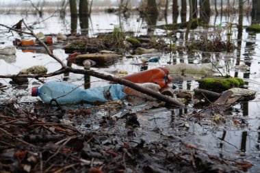 Plastik şişeler ve diğer pek çok çöp gölün kıyısında, çevre kirliliği