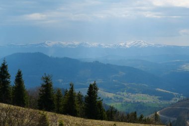 Ukrayna 'daki Karpat Dağları manzarası, karla kaplı Polonina Borzhava dağ sırtı