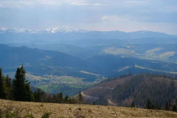 Carpathian Mountains Ukraine Snow Covered Polonina Borzhava Mountain Ridge — Stock Photo, Image