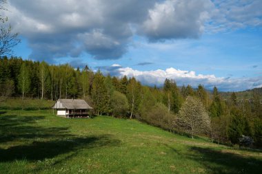 Güzel ormandaki ev, yalnızlıktaki hayat.