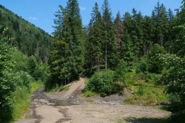 Karpat Dağları 'ndaki güzel nehir ve toprak yol