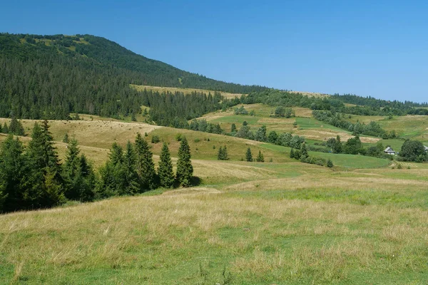 Magnifiques Montagnes Des Carpates Ukraine Crête Montagne Polonina Borzhava — Photo