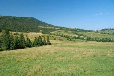 Ukrayna'da güzel Karpat dağları