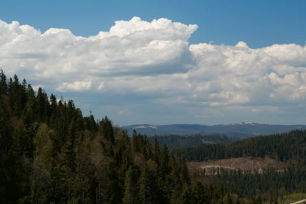 Вид Ліс Горах Красиві Хмари — стокове фото