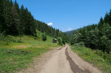 Güzel Karpat Dağları, Ukrayna 'da ahşap kulübe