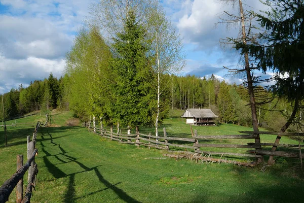 Petite Maison Dans Forêt — Photo