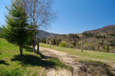 Ukrayna 'daki Karpat Dağları Manzarası