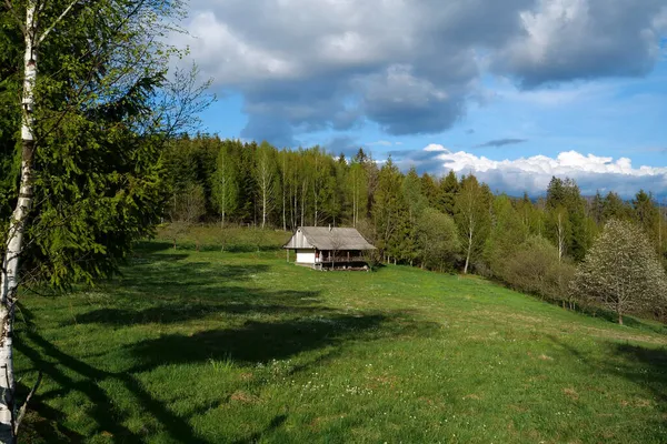 Petite Maison Dans Bois Vie Dans Solitude — Photo