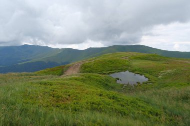Ukrayna 'daki Karpat Dağları' ndaki küçük gölet, Polonina Borzhava dağ sırası.