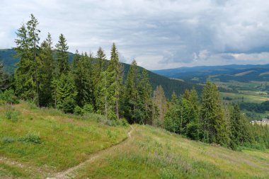 Orman Dağları'nda havadan görünümü