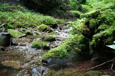 Dağlardaki güzel dere. Küçük nehrin temiz ve soğuk suyu