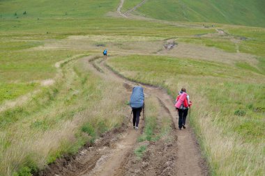 Ukrayna 'daki güzel Karpat Dağları' ndaki turistler, Polonyna Borzhava dağ sıraları