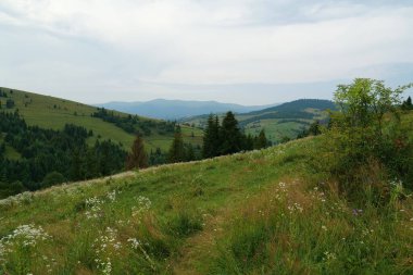 Karpat Dağları, Ukrayna 'nın güzel doğası