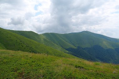 Ukrayna 'daki güzel Karpatlar, Polonina Borzhava dağ sırtı