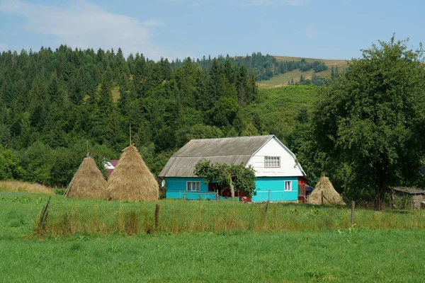 우크라이나 카르파티아 의산간 마을에 — 스톡 사진