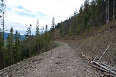 Karpat Dağları 'nda güzel toprak yol