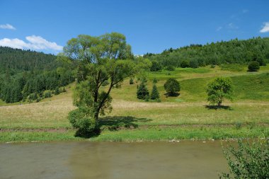 Ukrayna 'daki Karpat Dağları' ndaki güzel nehir.