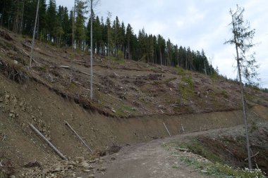 Karpat Dağları 'nda güzel toprak yol