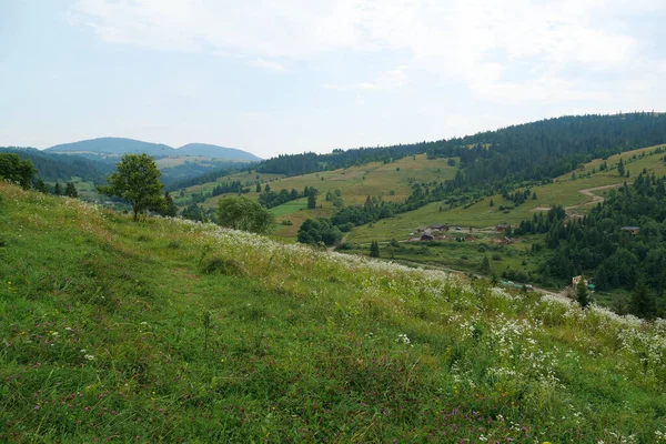 Bella Natura Nelle Montagne Dei Carpazi Ucraina — Foto Stock