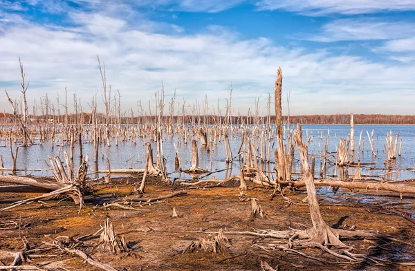 Jezero a mrtvé stromy — Stock fotografie