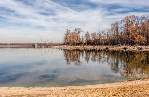 Мертві дерева і озеро — стокове фото