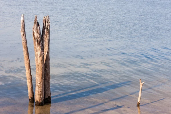 Мертвый трэш в озере — стоковое фото