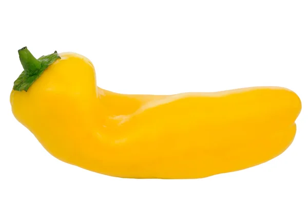 Pepper yellow Stock Photo