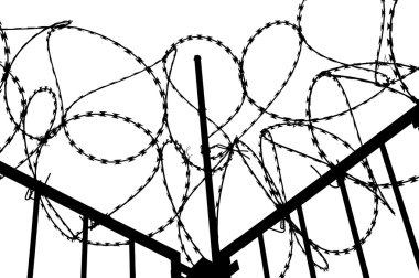 Champ de maïs à la récolte