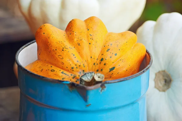 Fresh pumpkin — Stock Photo, Image