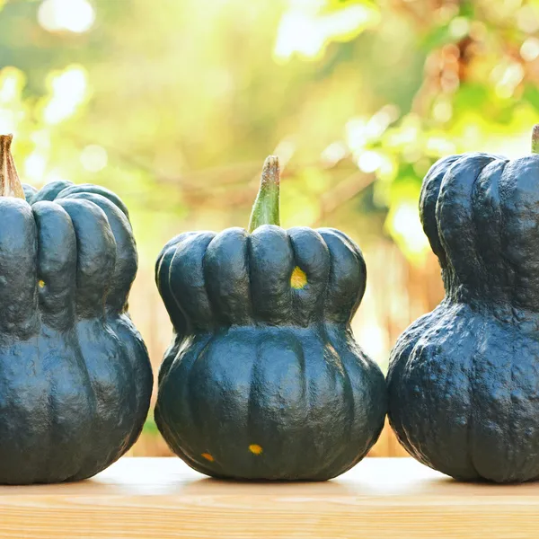 Üç pumpkinks — Stok fotoğraf