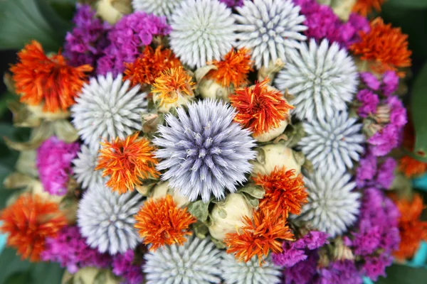 Floral regeling — Stockfoto