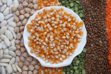 Corn seeds