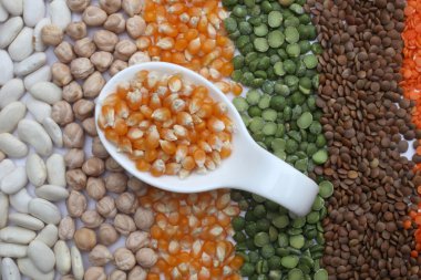 Corn seeds